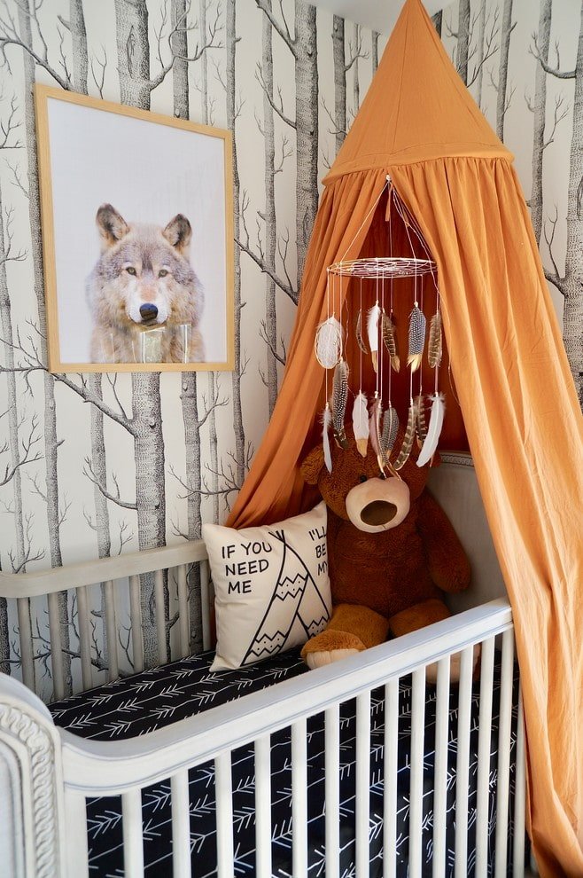 baby cot with a canopy