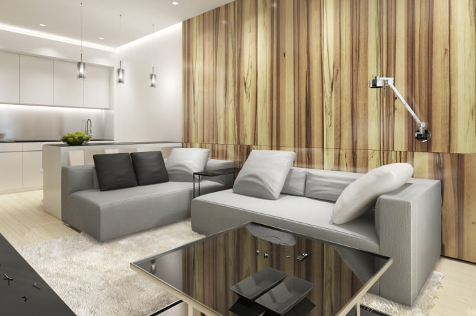 Combined kitchen-living room