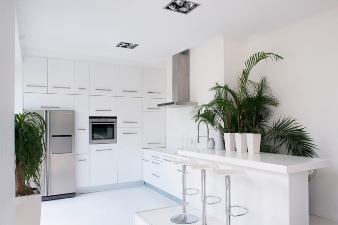 Palm tree in the kitchen interior