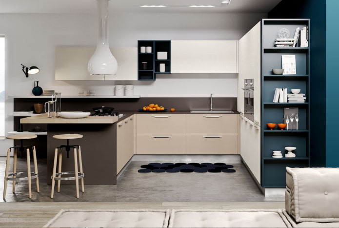 storage systems in the kitchen in the modern style