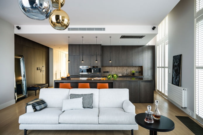modern kitchen-living room interior