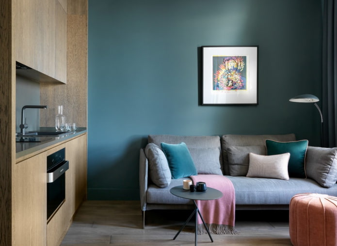 location of the sofa in the interior of the kitchen-living room