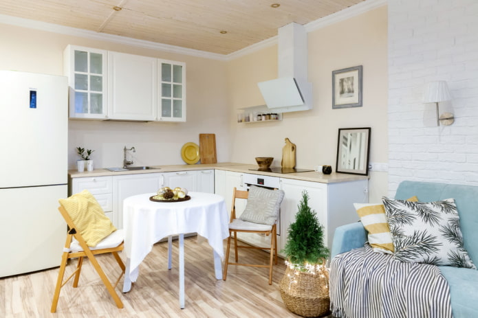 kitchen-living room interior design