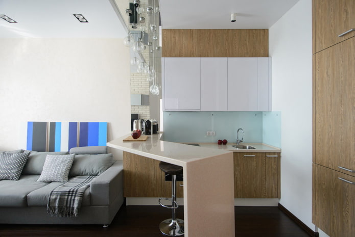 kitchen-living room interior design