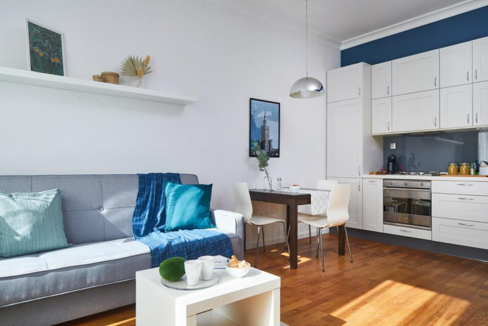 arrangement of a 16-square-meter kitchen-living room