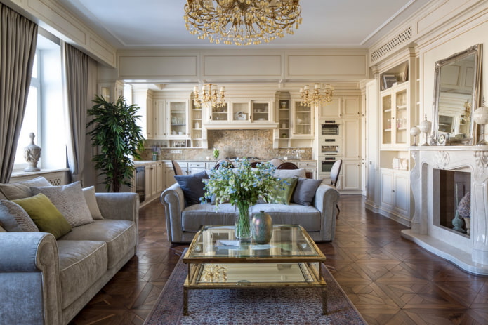 classic style kitchen-living room design