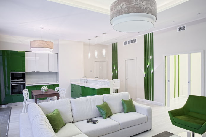 kitchen-living room interior design