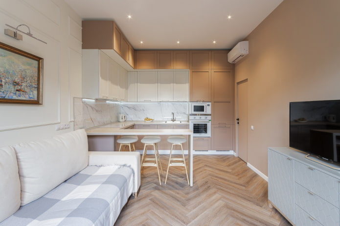 rectangular kitchen-living room design