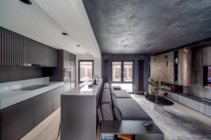 kitchen-living room interior in dark tones