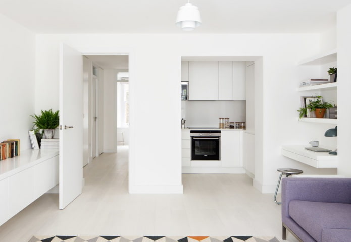 kitchen in a niche in the living room interior