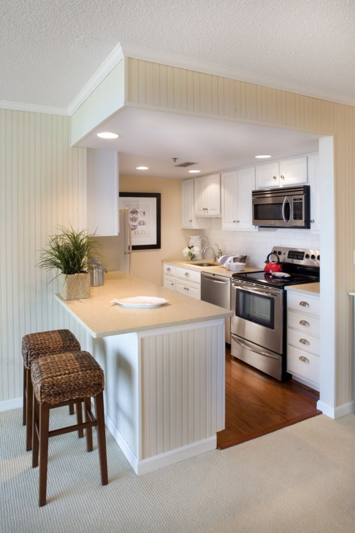 kitchen with a bar counter in a niche in the interior