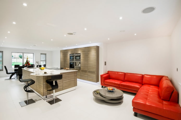 red sofa in the kitchen interior