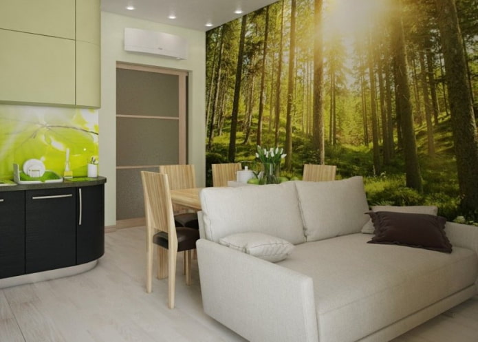 sofa in the kitchen interior