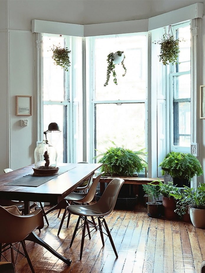 Flowers in the bay window