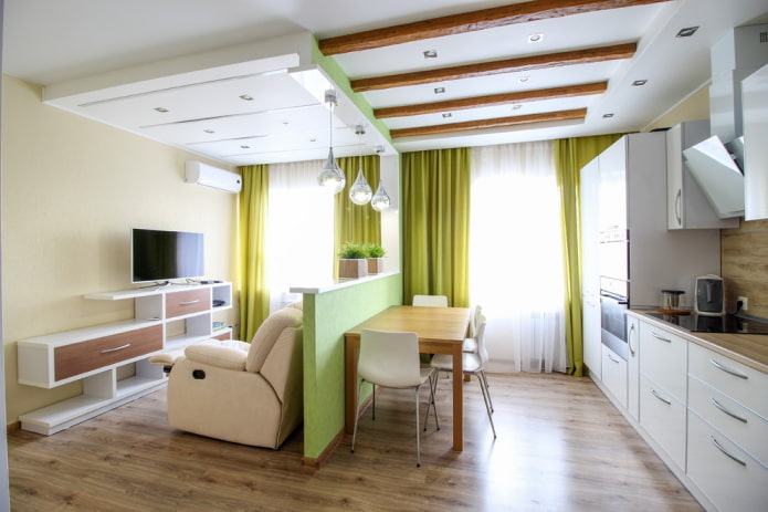 interior of a kitchen-studio with a partition
