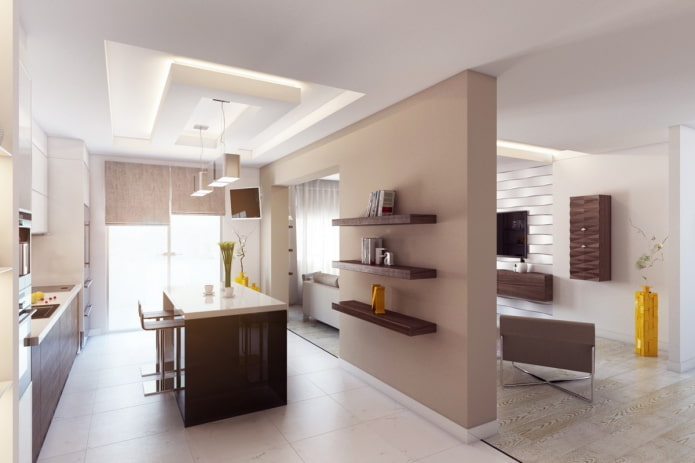 interior of a kitchen-studio with a partition