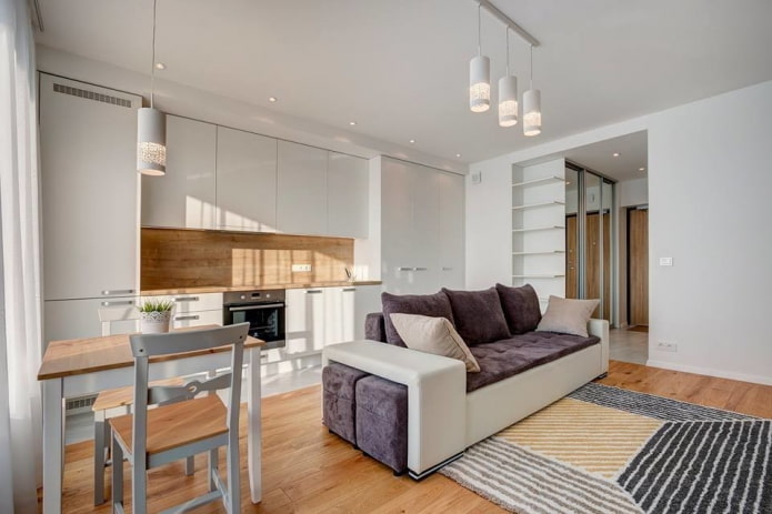 kitchen-studio interior with a partition in the form of sofa