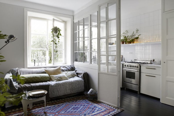 interior of a kitchen-studio with a partition