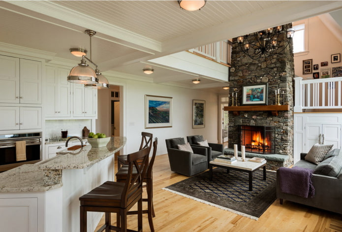 Kitchen-living room with a fireplace