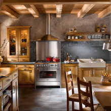 We design a kitchen in a private house-1