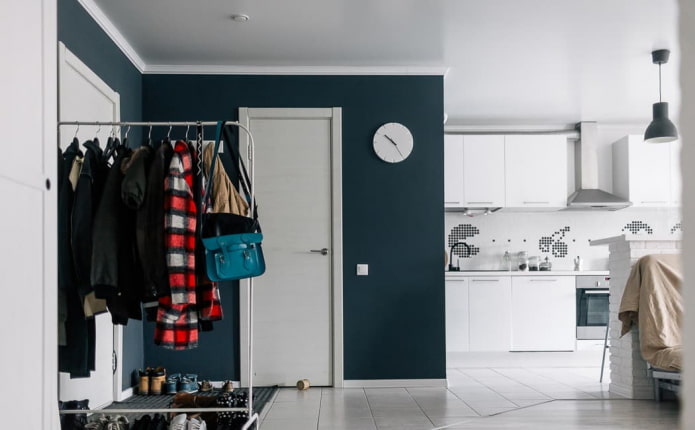 kitchen-hallway interior design