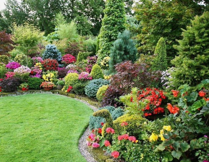 Multicolored group of plants
