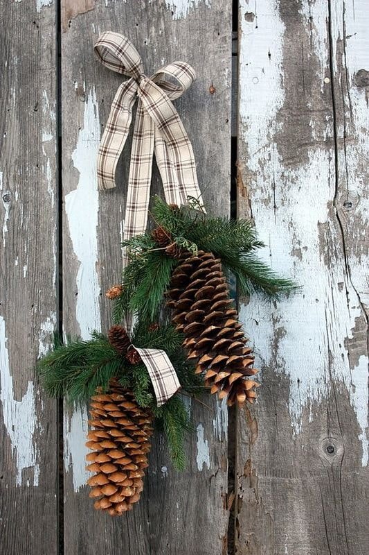 Composition of pine cones