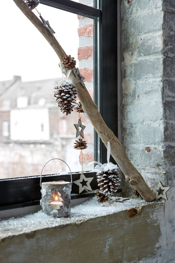 Branch with pine cones