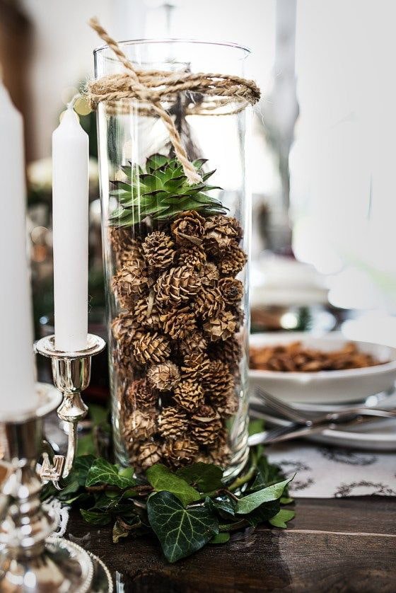 Pine cones in a vase