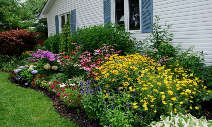 Flowerbed at the dacha