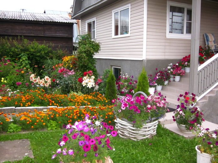 landscape landscaping