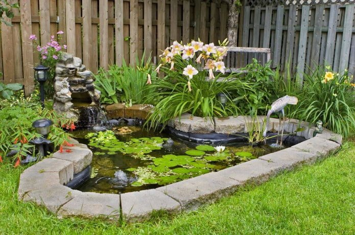 Small pond