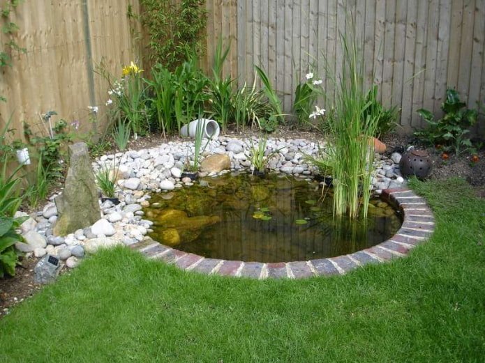 Small pond