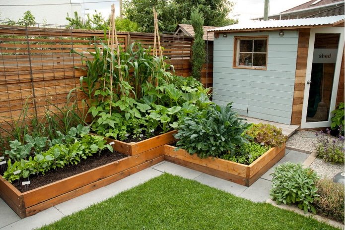 landscape landscaping