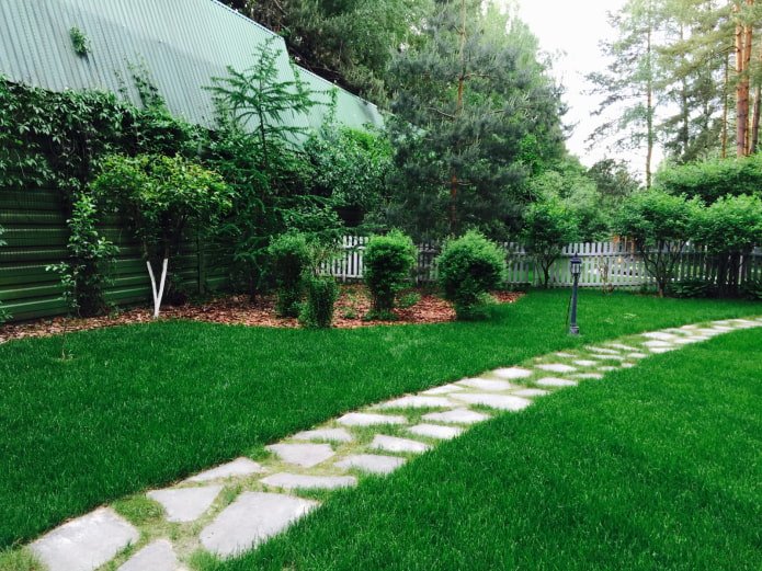 lawn in the garden