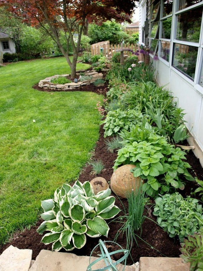 flowerbed along the house