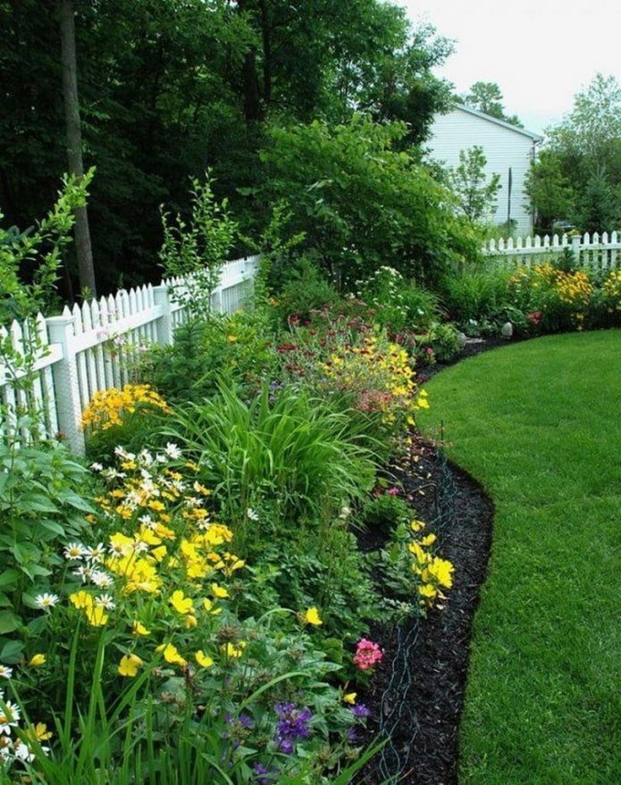 mixed border along the fence