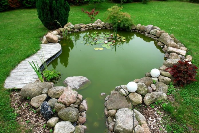 beautiful pond on the site