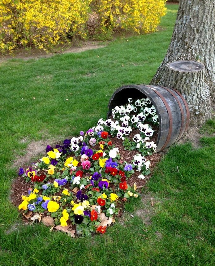unusual flower bed on the site