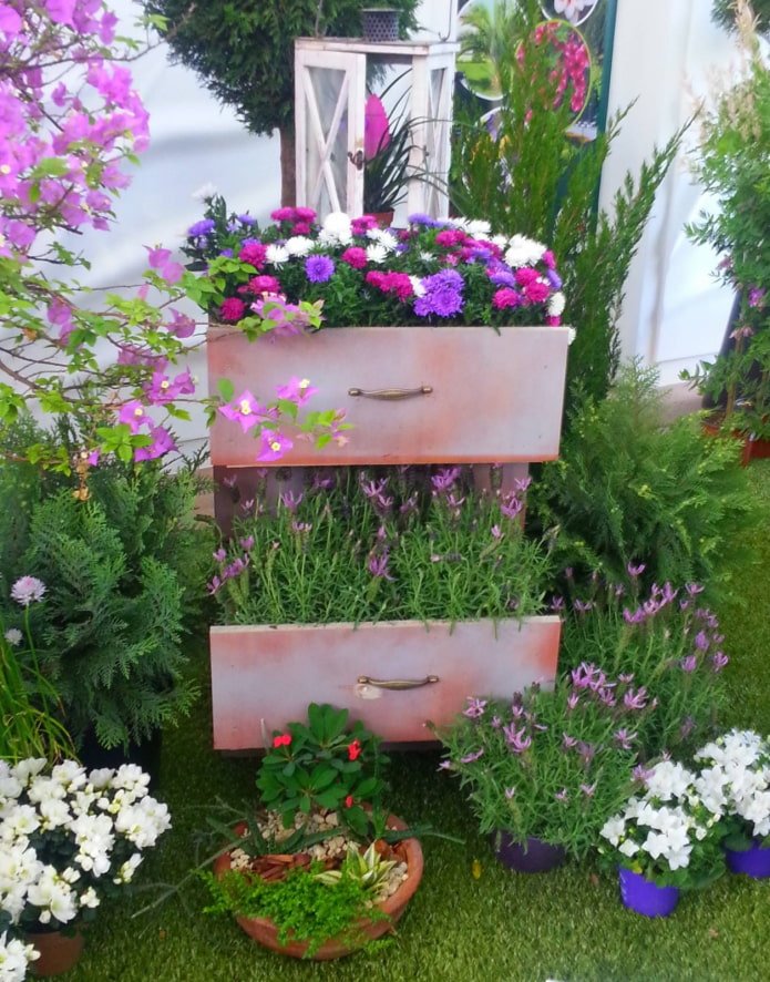 flowers in a chest of drawers outside