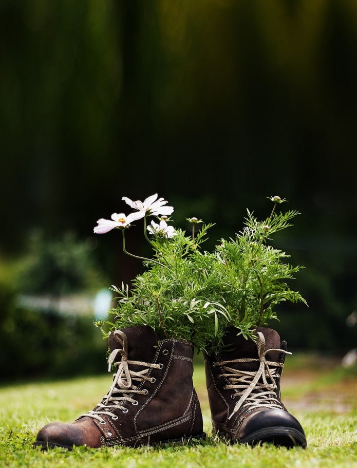 flowers in boots