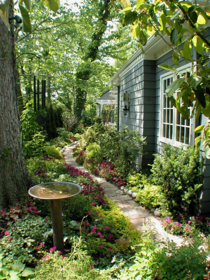 overgrown dacha plot