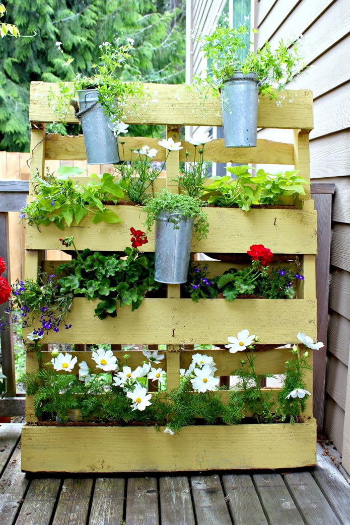 Vertical flower bed made of pallets