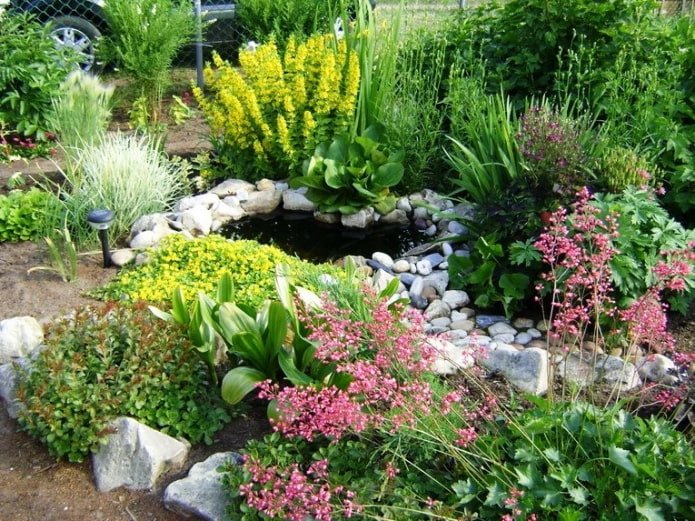Small pond in the garden