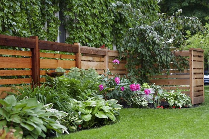 Board fence