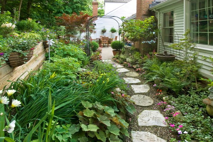 Plants on the sides of the path