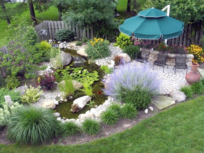 Pond on a summer cottage
