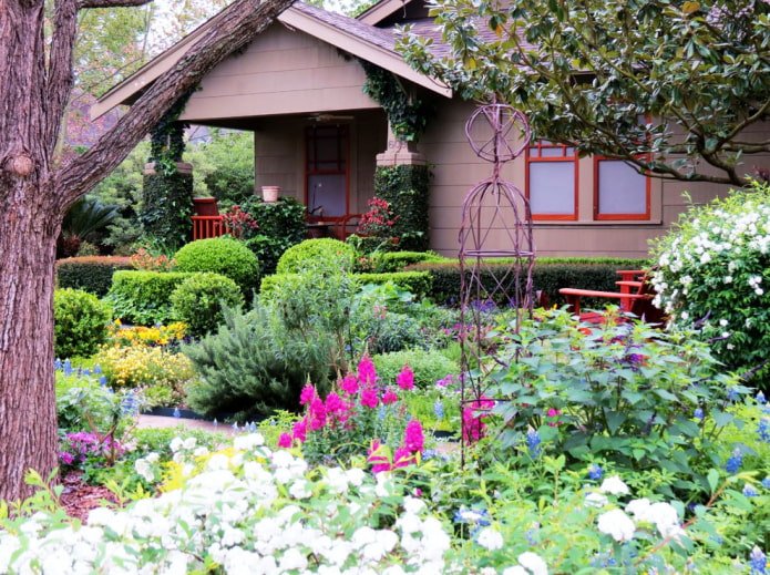 densely planted plot