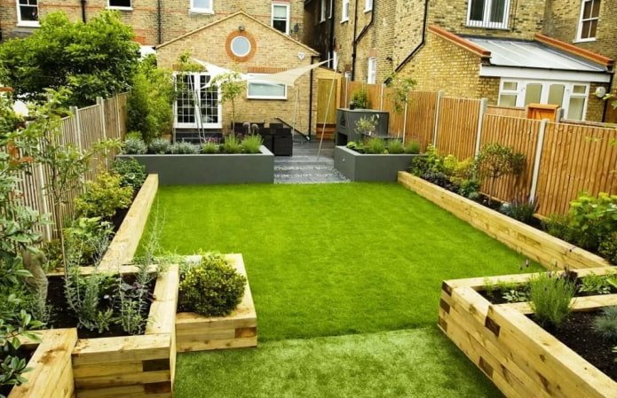 lawn on the plot