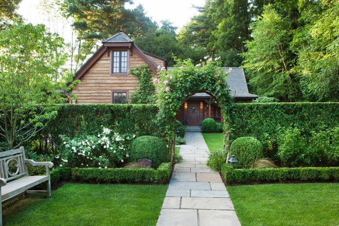 hedge on the site